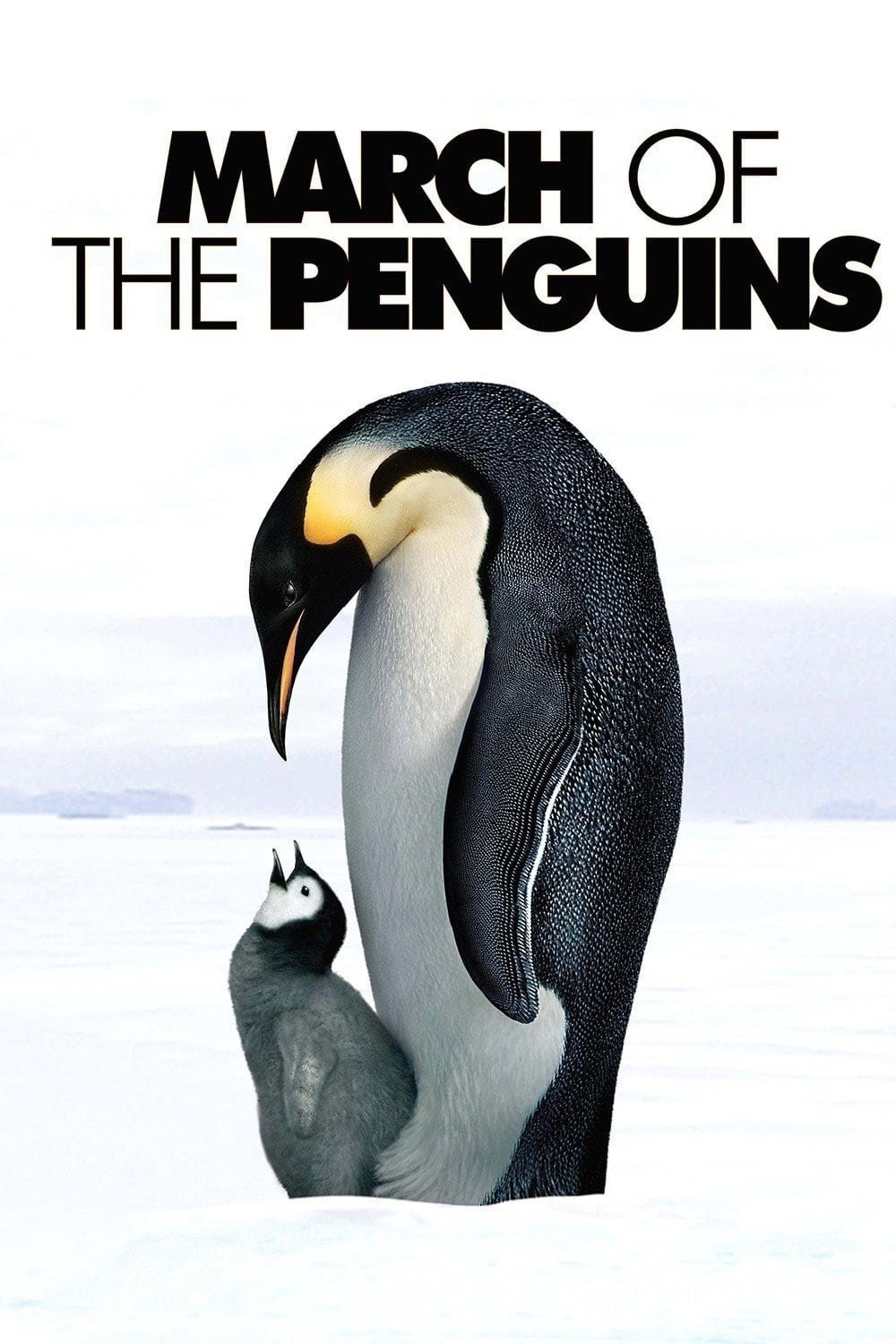 March of the Penguins
